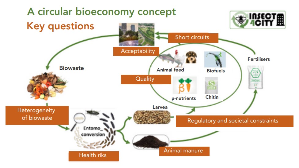 A circular bioeconomy concept © INRAE