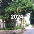URBIDENDRON : Consortium autour de l’arbre en ville © INRAE