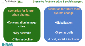 Urban-Transitions.png